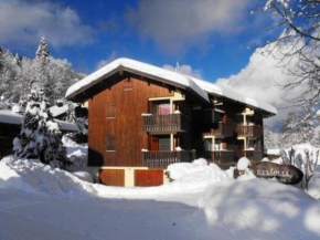 T2 confort 4 pers, Wi-Fi, garage, 150m commerces, 100m télécabines - FR-1-802-74 Les Gets